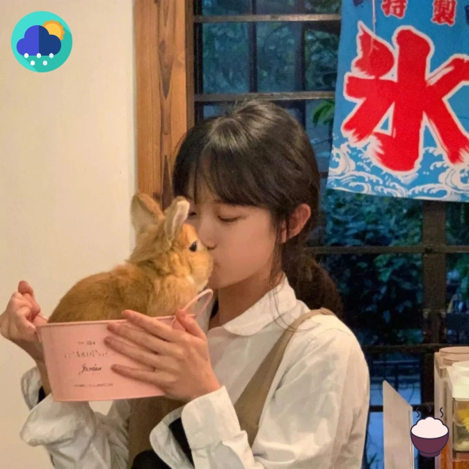 南城用户